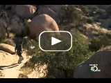 Man vs wild Bear Grylls Arizona Sky Islands part 1 of 4